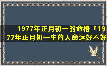 1977年正月初一的命格「1977年正月初一生的人命运好不好 🦁 」
